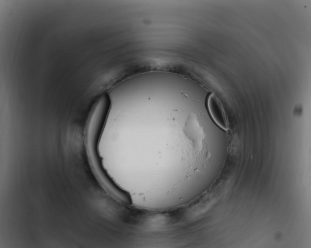 X0000103450456200809121130