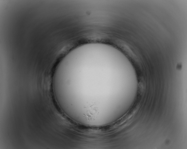 X0000103450458200809121130