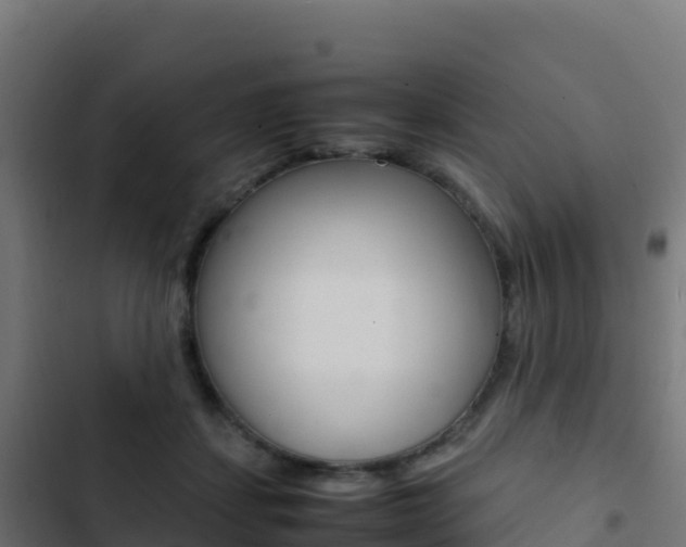 X0000103450459200809121130