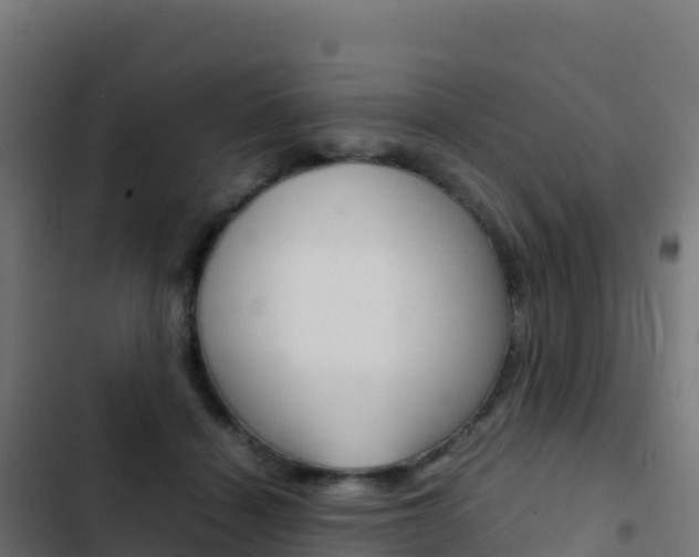 X0000103450460200809121130
