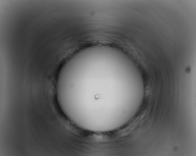 X0000103450464200809121130