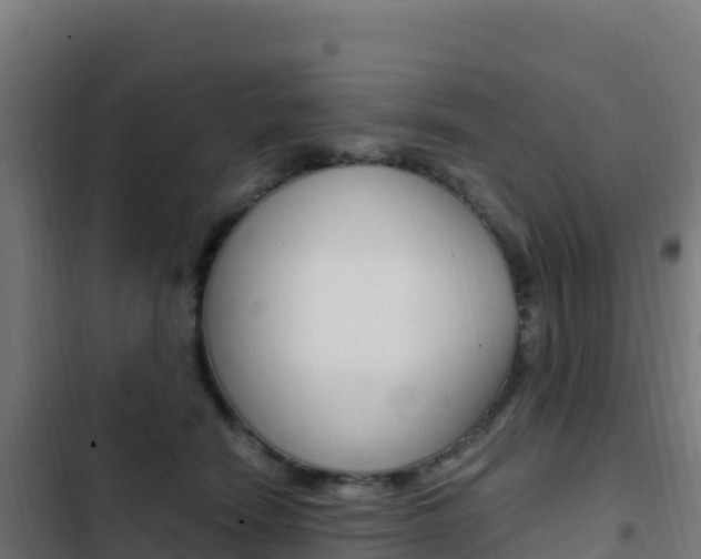 X0000103450466200809121130