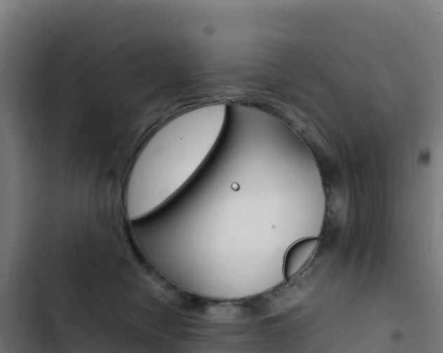 X0000103450470200809121130