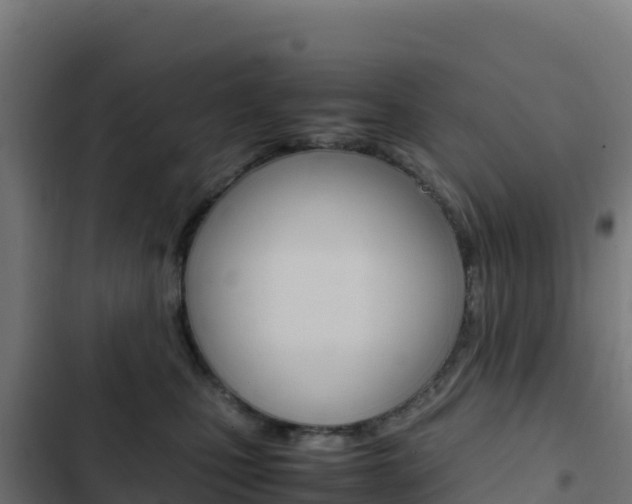 X0000103450471200809121130