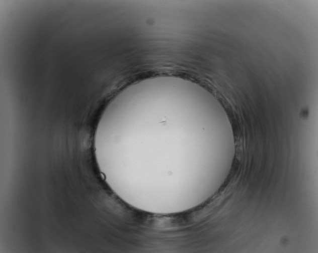 X0000103450472200809121130