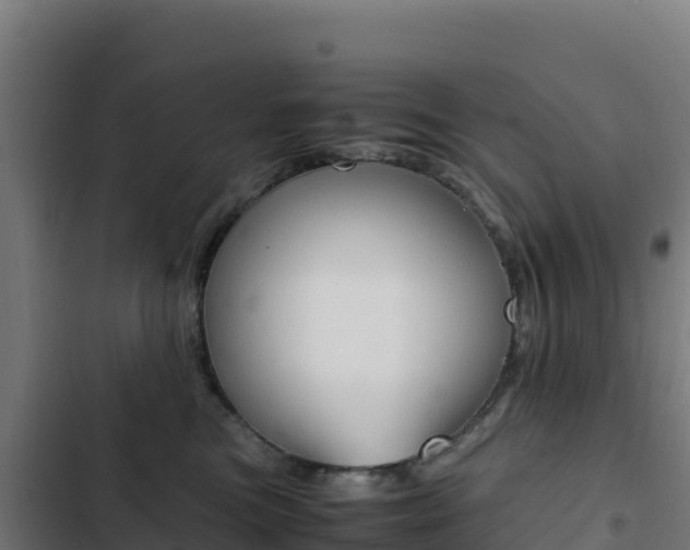 X0000103450473200809121130