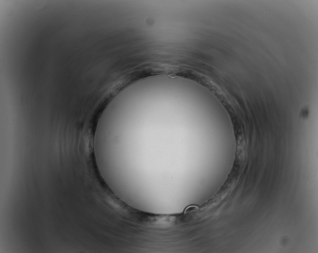 X0000103450474200809121130
