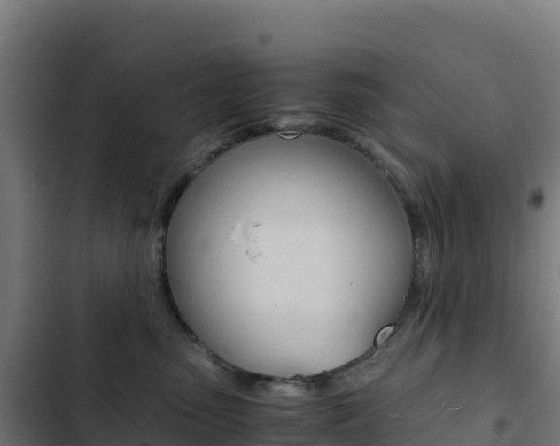 X0000103450475200809121130