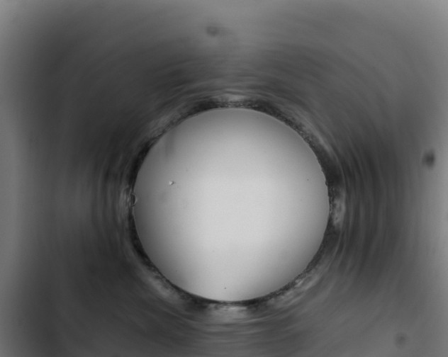 X0000103450476200809121130
