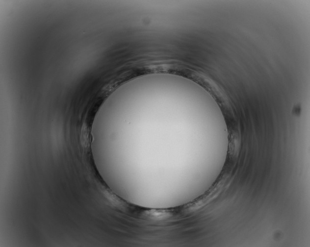 X0000103450477200809121130