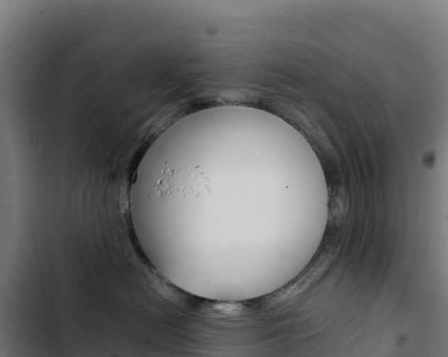 X0000103450478200809121130