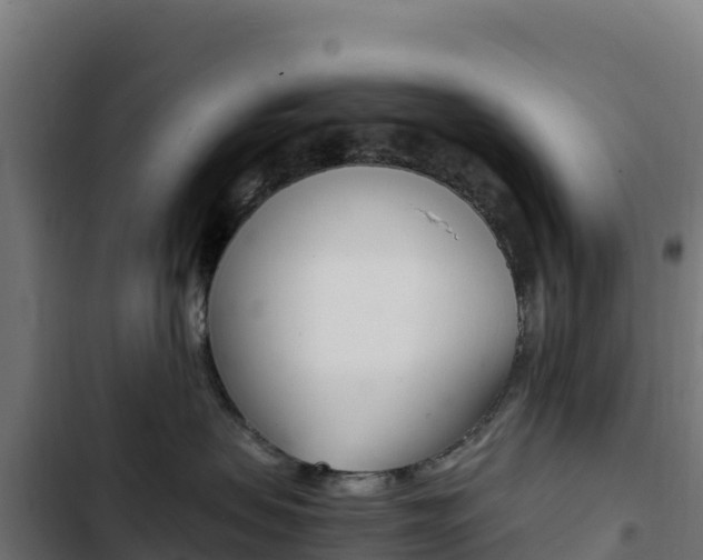 X0000103450479200809121130