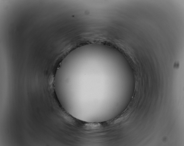 X0000103450480200809121130