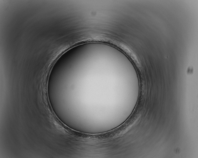 X0000103450481200809121129
