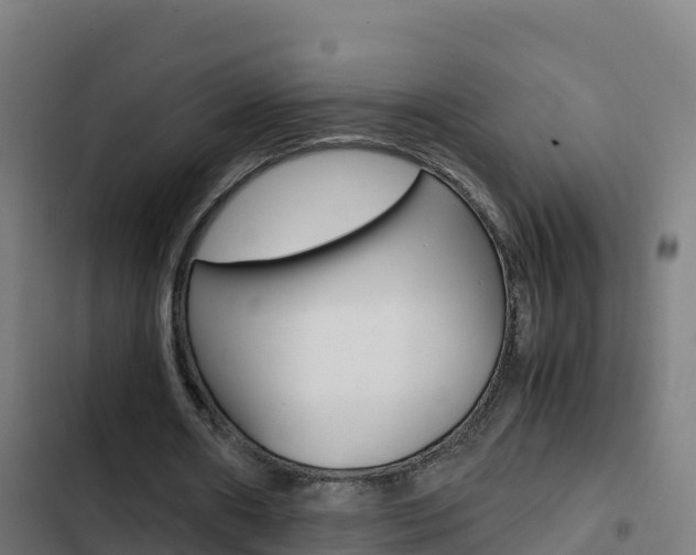 X0000103450482200809121129