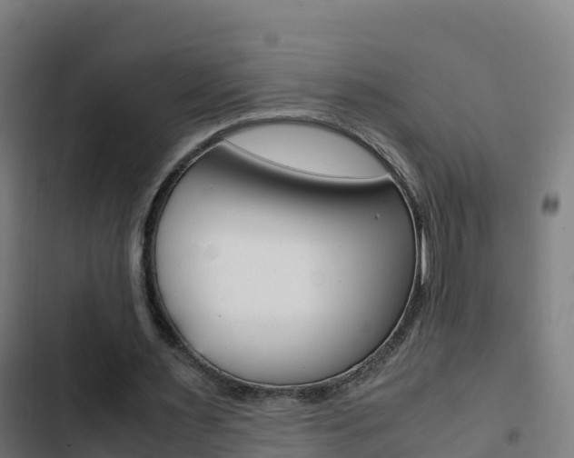 X0000103450483200809121129