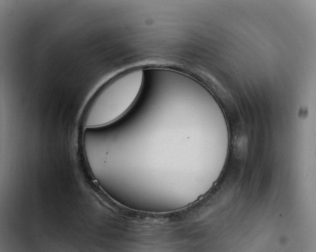 X0000103450484200809121129