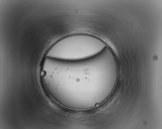 X0000103450485200809121129