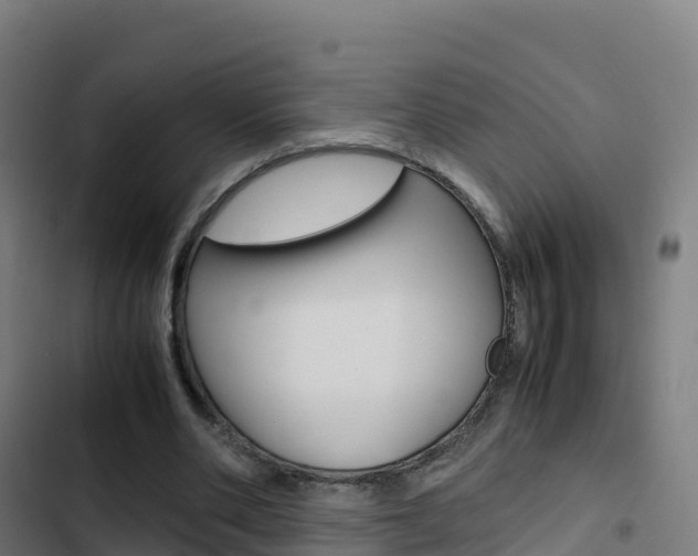 X0000103450486200809121129