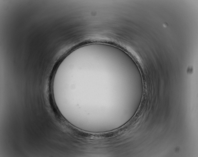 X0000103450487200809121129