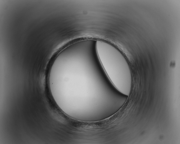 X0000103450488200809121129