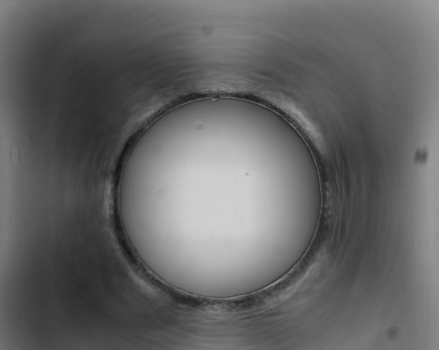 X0000103450489200809121129