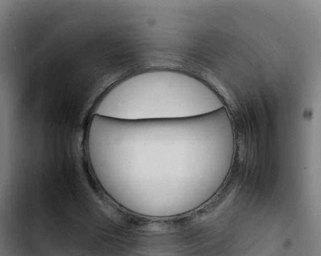 X0000103450490200809121129