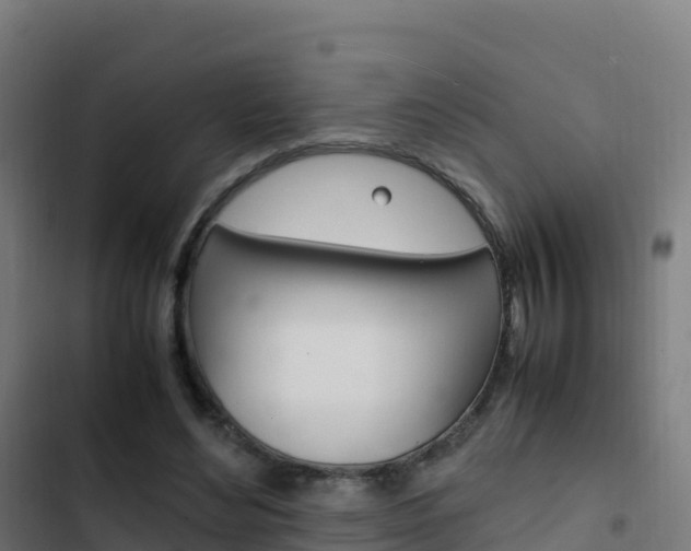 X0000103450492200809121129