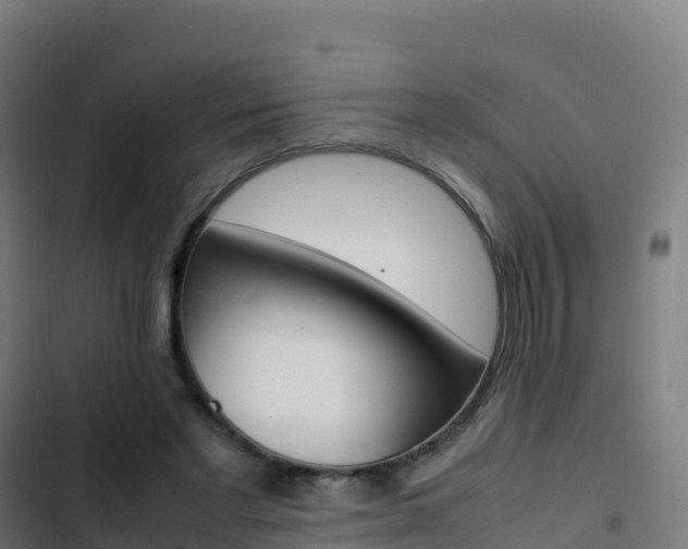 X0000103450493200809121129