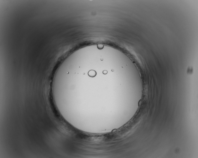 X0000103450495200809121129