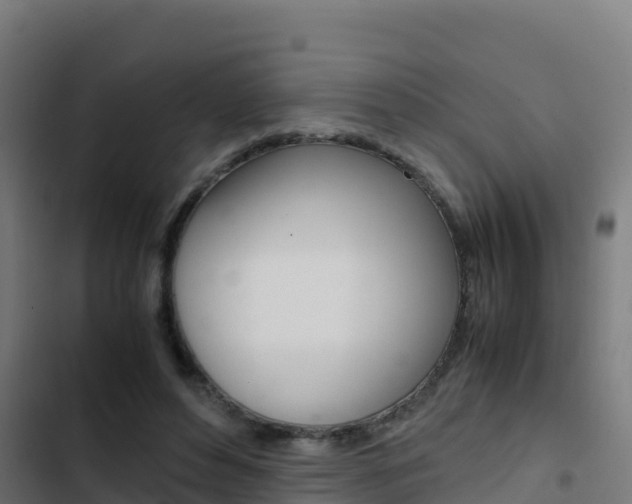 X0000103450496200809121129