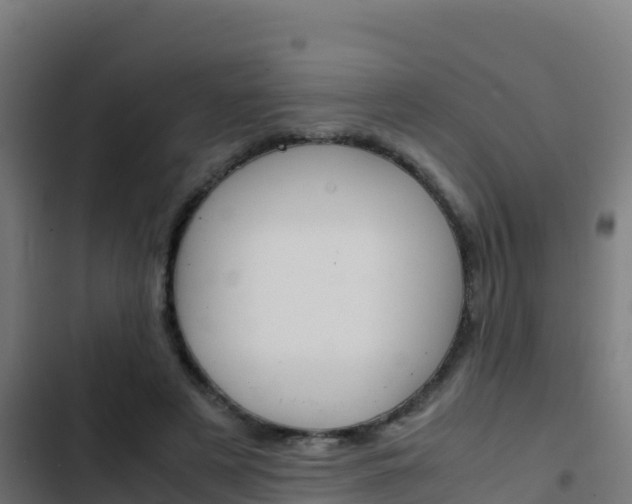 X0000103450497200809121129