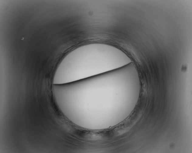 X0000103450498200809121129