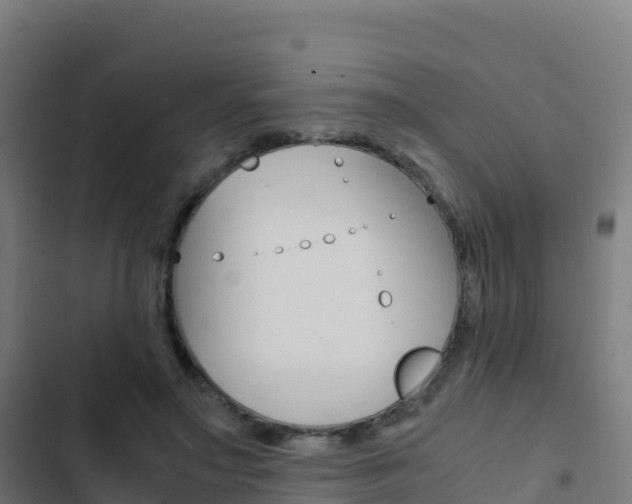 X0000103450499200809121129