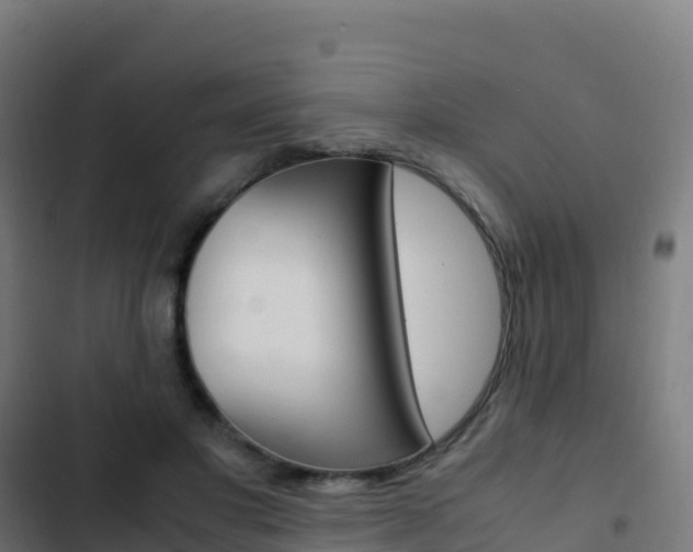X0000103450501200809121129
