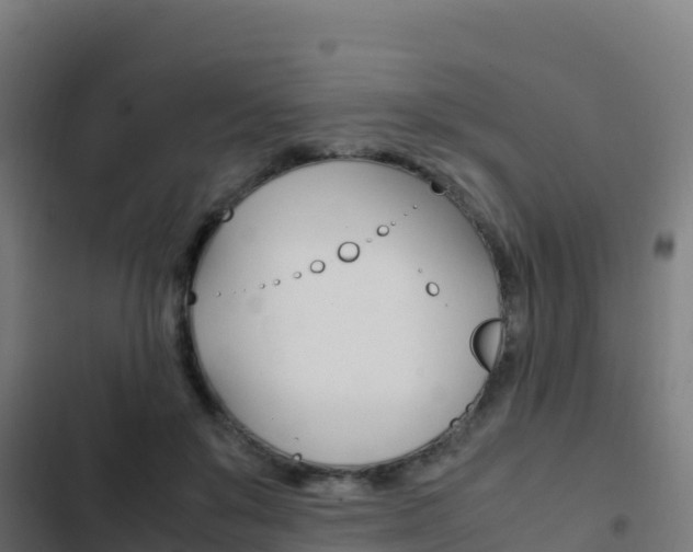 X0000103450503200809121129