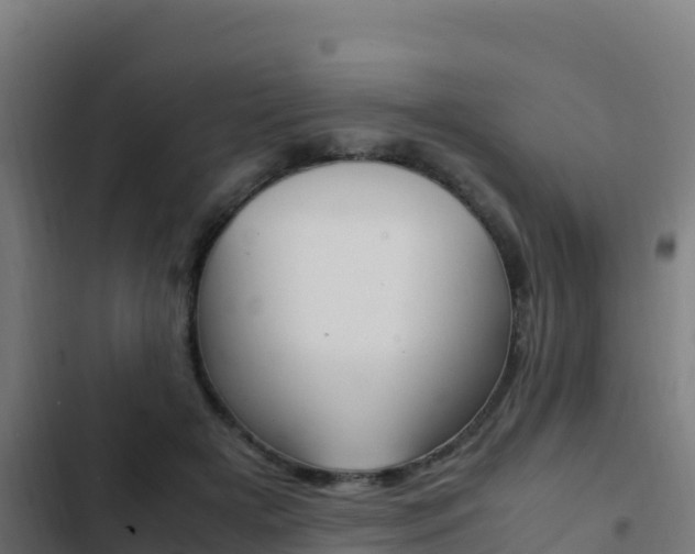 X0000103450505200809121129
