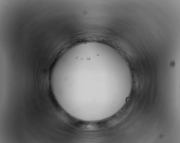 X0000103450506200809121129