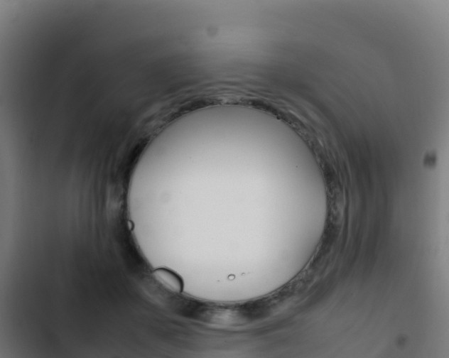 X0000103450507200809121129