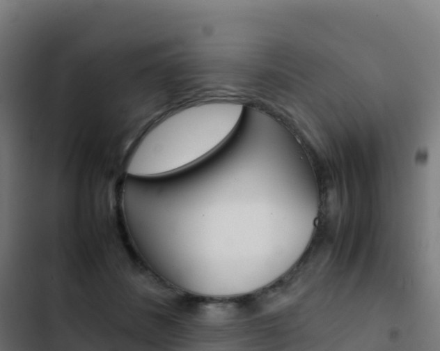 X0000103450508200809121129