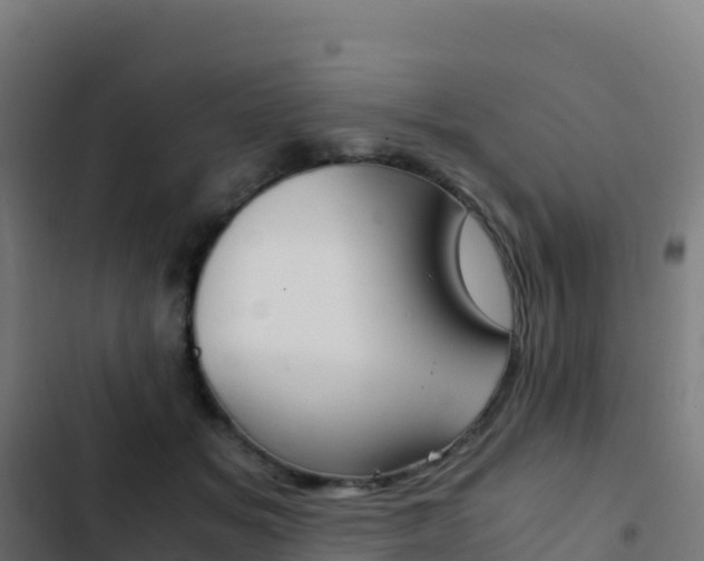 X0000103450509200809121129