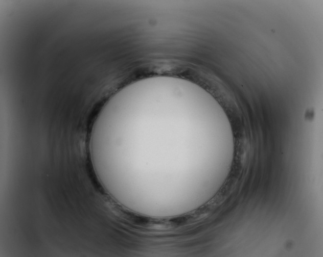 X0000103450510200809121129