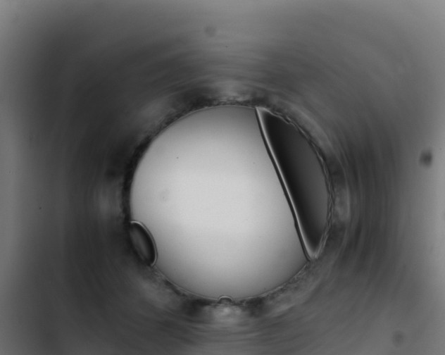 X0000103450512200809121129