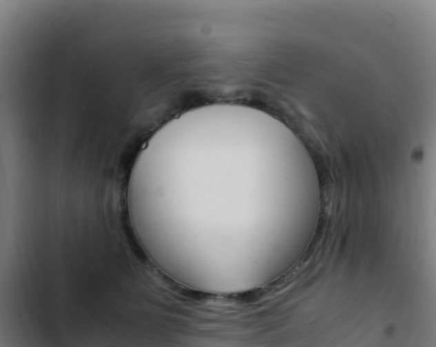 X0000103450515200809121129