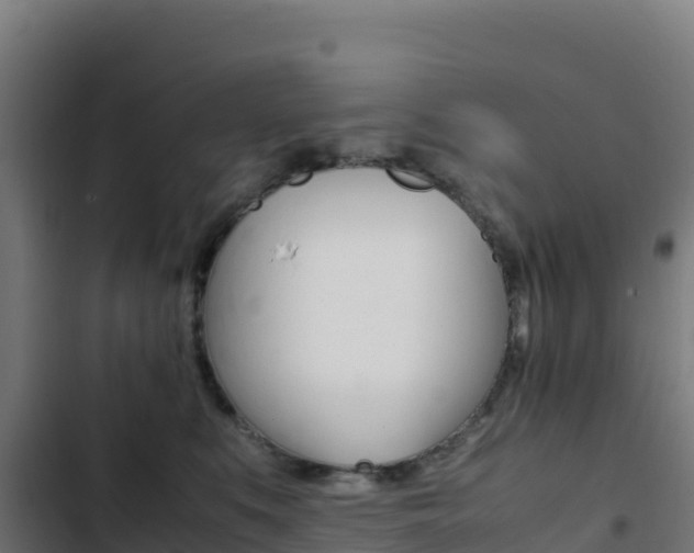 X0000103450519200809121129