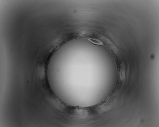 X0000103450520200809121129