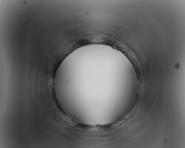 X0000103450521200809121129