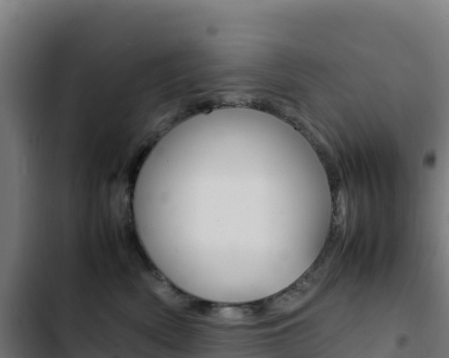 X0000103450522200809121129