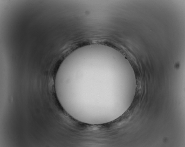 X0000103450523200809121129