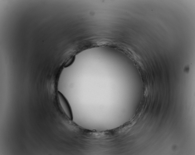 X0000103450524200809121128